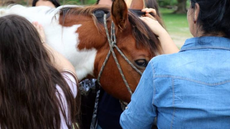 equoterapia